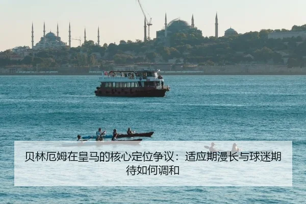 bei-lin-e-mu-zai-huang-ma-de-he-xin-ding-wei-zheng-yi-shi-ying-qi-man-chang-yu-qiu-mi-qi-dai-ru-he-tiao-he-2-181.jpg